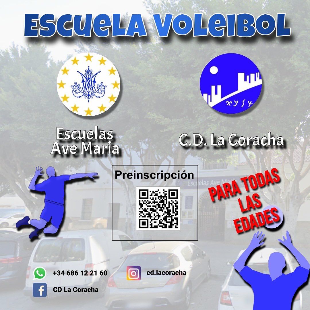 Escuela de Voleibol Escuelas Ave María Málaga